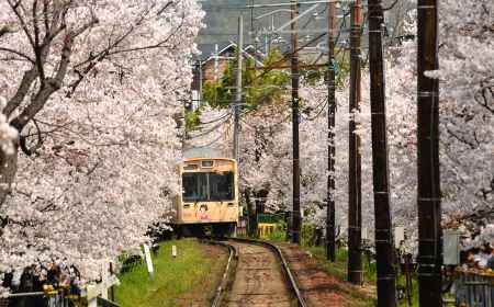 夕子ちゃんの春