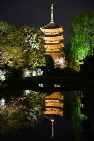 もう一つの水鏡