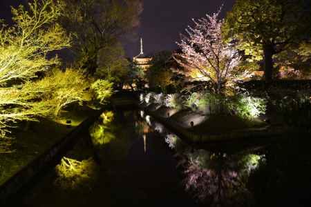 もう一つの花影