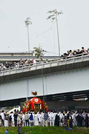 松尾大社　神幸祭　船渡御   橋は通行止め