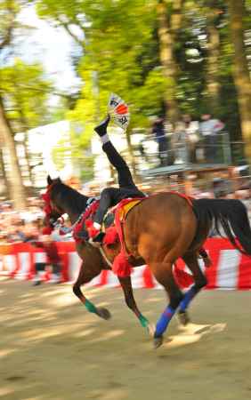 令和　藤下がり