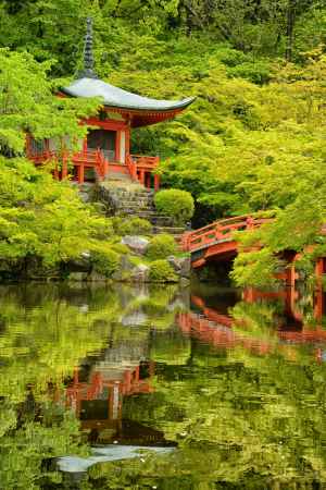 弁天堂　緑の水鏡