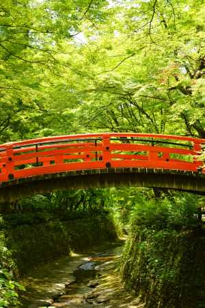 紙屋川のせせらぎ