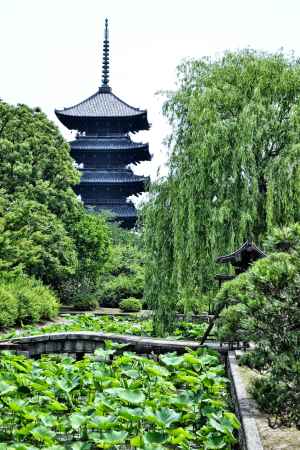 東寺　深い翡翠色