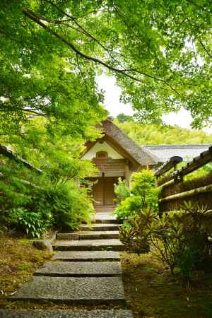 緑に佇む阿弥陀堂