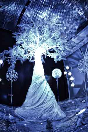 純白の森ナイトミュージアム