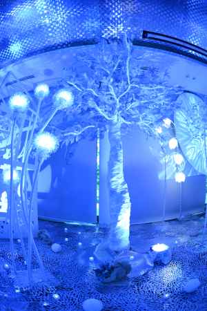 シンボルツリー