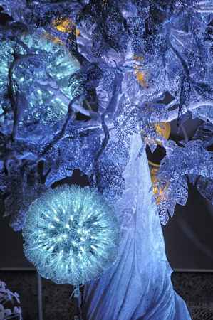 ホワイトパワー