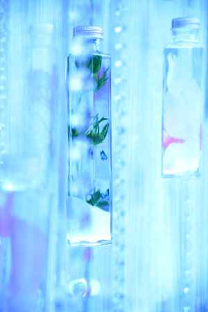 蝶が舞うハーバリウム