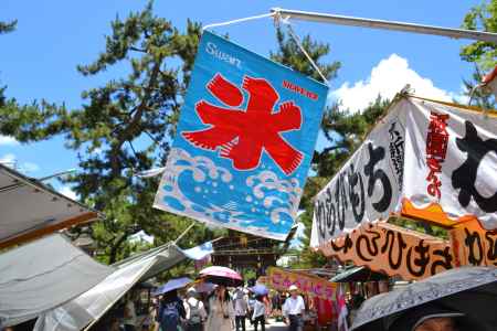 天神市　氷の季節だね