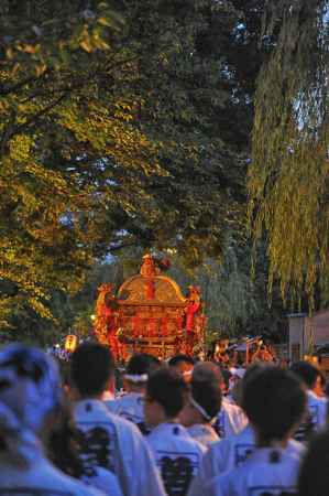 祇園祭2019　神幸祭　白川筋の緑の中へ