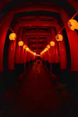 伏見稲荷大社 宵宮祭 2019　千本鳥居