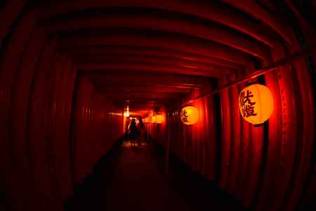 ようこそ異次元の世界へ