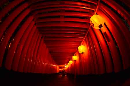 伏見稲荷大社 宵宮祭 2019　千本鳥居の世界