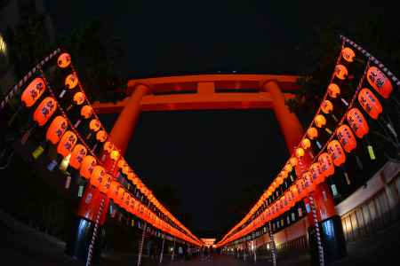 伏見稲荷大社 宵宮祭 2019　すずなり提灯