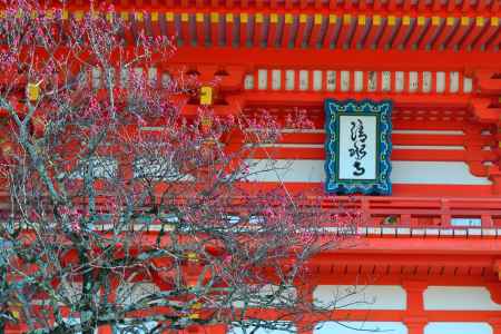 紅梅と仁王門