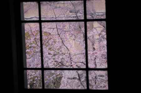 春色に染まる窓