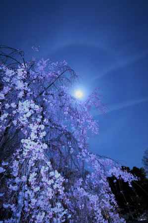 スーパームーン前夜