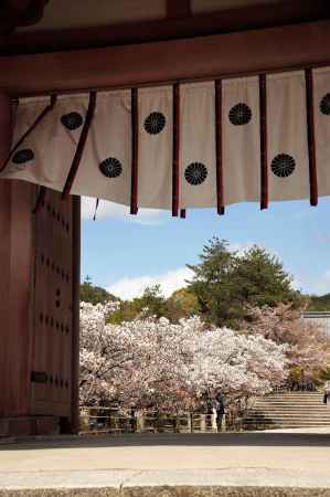 御室花まつり中門