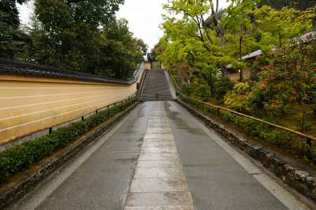 いつこの道に人が戻るのだろう