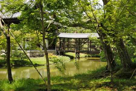 新緑の池水式庭園