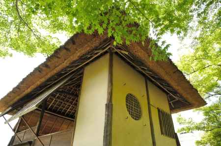 青紅葉と時雨亭