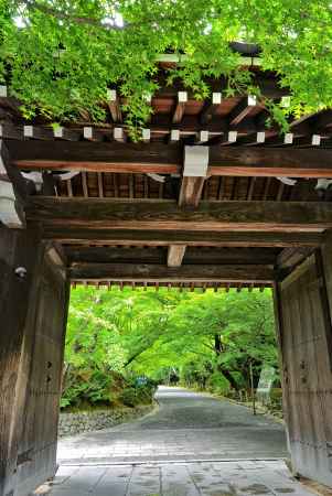 門の屋根にかかる緑