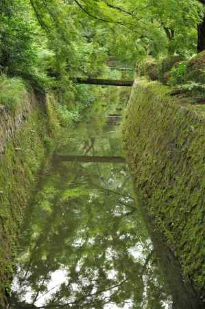 ６月の琵琶湖疎水