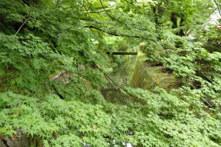 グリーンジャスパー