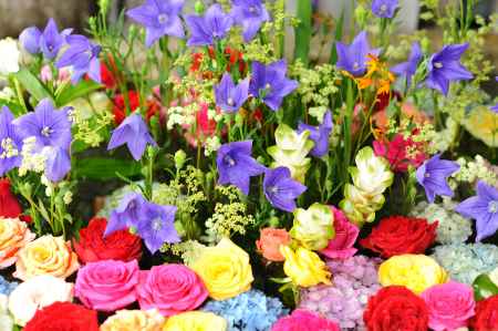 フィナーレを飾る