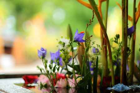 早朝の花手水