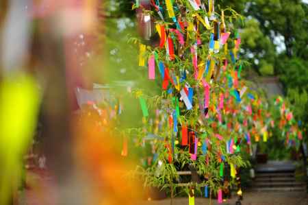 今年の願い事は…