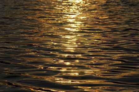 水面　クローズアップ