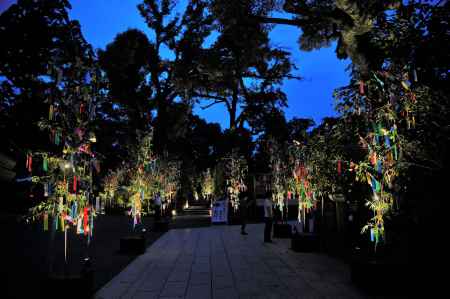 七夕ライトアップ