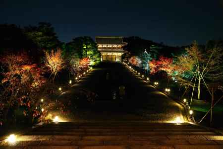 仁和寺　もみじ