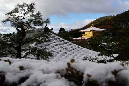ヘリ飛んでます　