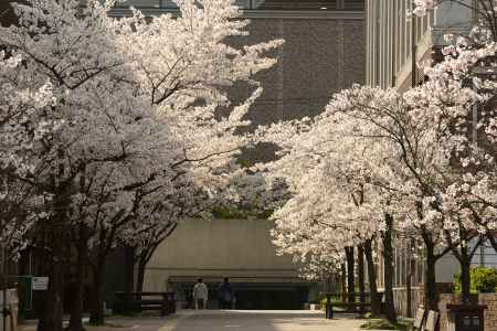 学びと桜　TAKE4