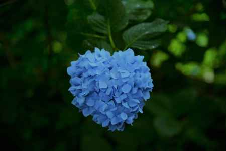 ♡に見えなくもない...