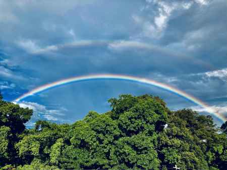 真夏の虹