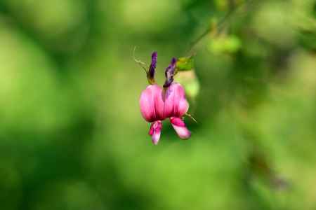 2輪して秋の装い