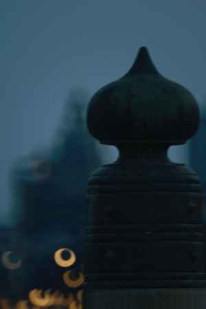 ぎぼし　ゆらゆら