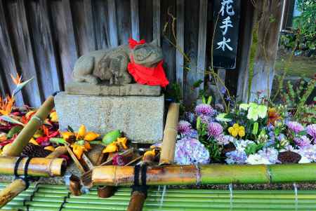 秋の花手水2