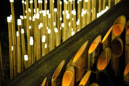 光と竹のコラボ