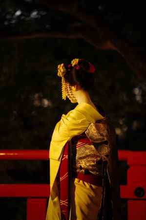 舞　京の四季をおえて