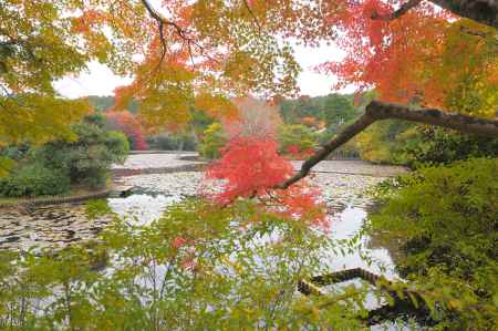 すべての色は鏡容池あり