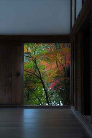 樺色と海松色と