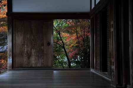 鶸色と蘇芳色と…