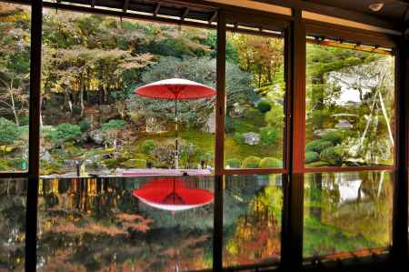 野点傘のリフレクション