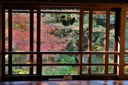 窓の秋