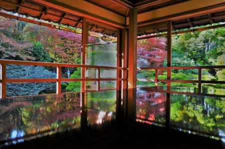 秋のリフレクション